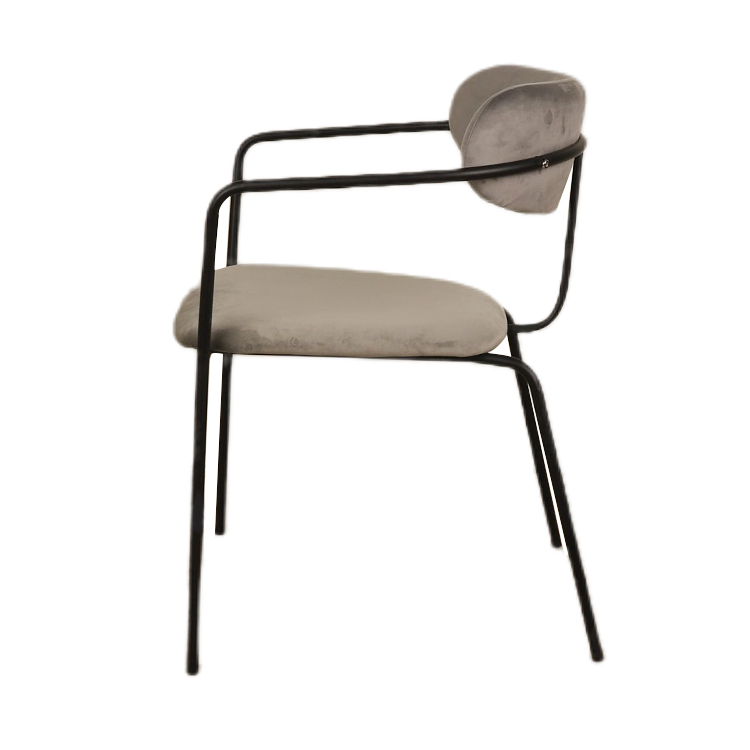 Luxury Dining Chairs with Metal Frame and Velvet Seat